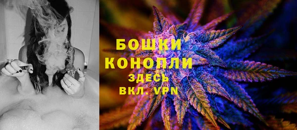 дмт Верея