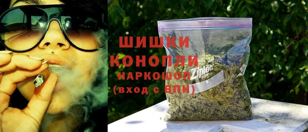 дмт Верея