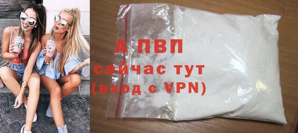 дмт Верея