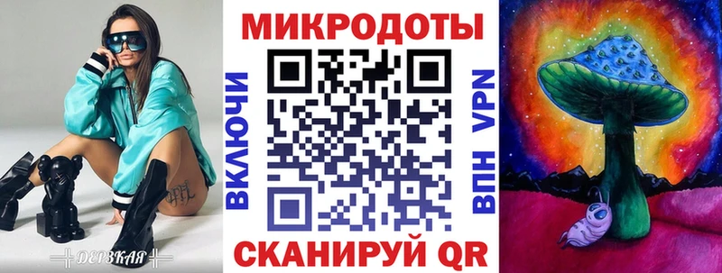 Купить  Суджа  Псилоцибиновые грибы Psilocybe 